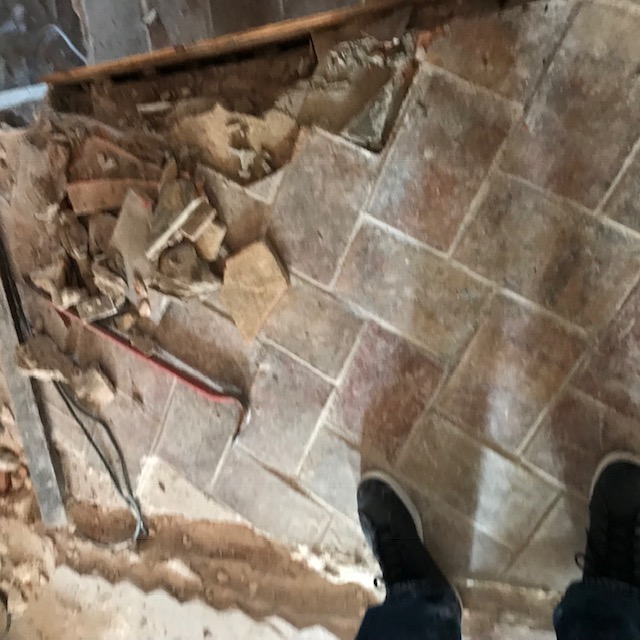 IMG_6341 (1) IMG_6341 (1)