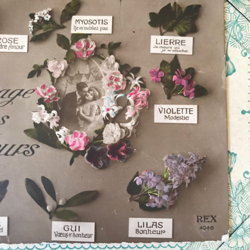 the language of things