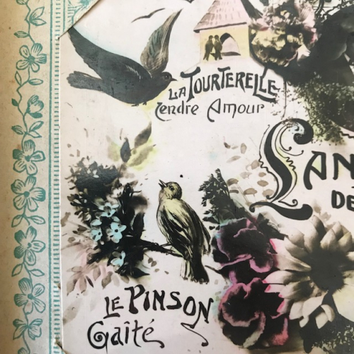 the language of things