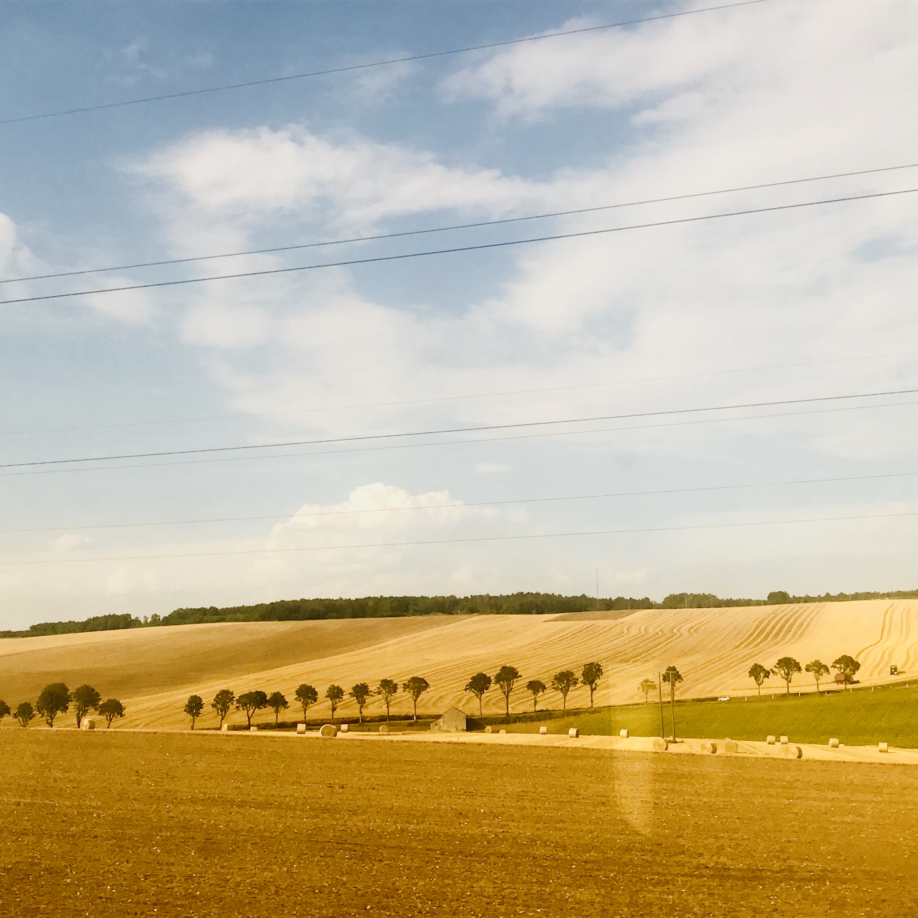 AC0D1E0C-C5F0-40BD-8865-3283F390D006