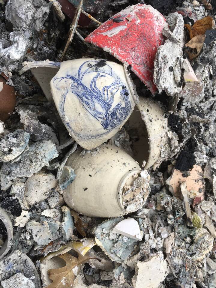 PATRICIA Rich Lloyd Photos of Paradise§ PATRICIA Rich Lloyd Photos of Paradise§