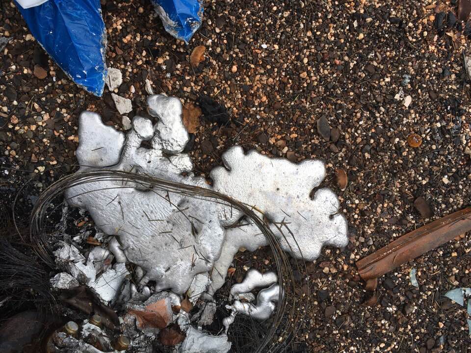 PATRICIA Rich Lloyd Photos of Paradise§ PATRICIA Rich Lloyd Photos of Paradise§