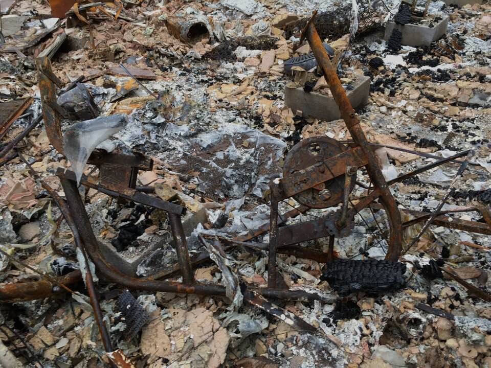 PATRICIA Rich Lloyd Photos of Paradise§ PATRICIA Rich Lloyd Photos of Paradise§