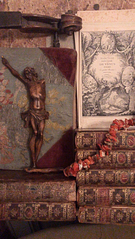 Book lover, French la Vie, Corey Amaro Book lover, French la Vie, Corey Amaro