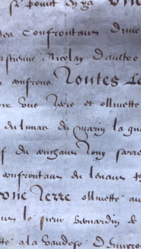 Rare antique French document