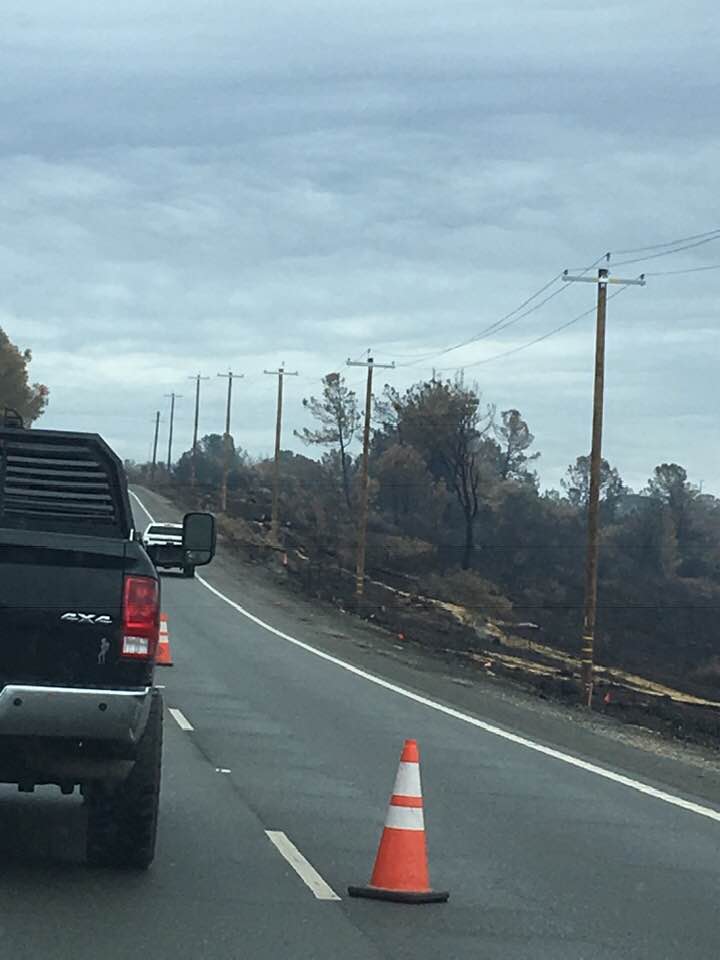 PATRICIA Rich Lloyd Photos of Paradise paradise PATRICIA Rich Lloyd Photos of Paradise paradise