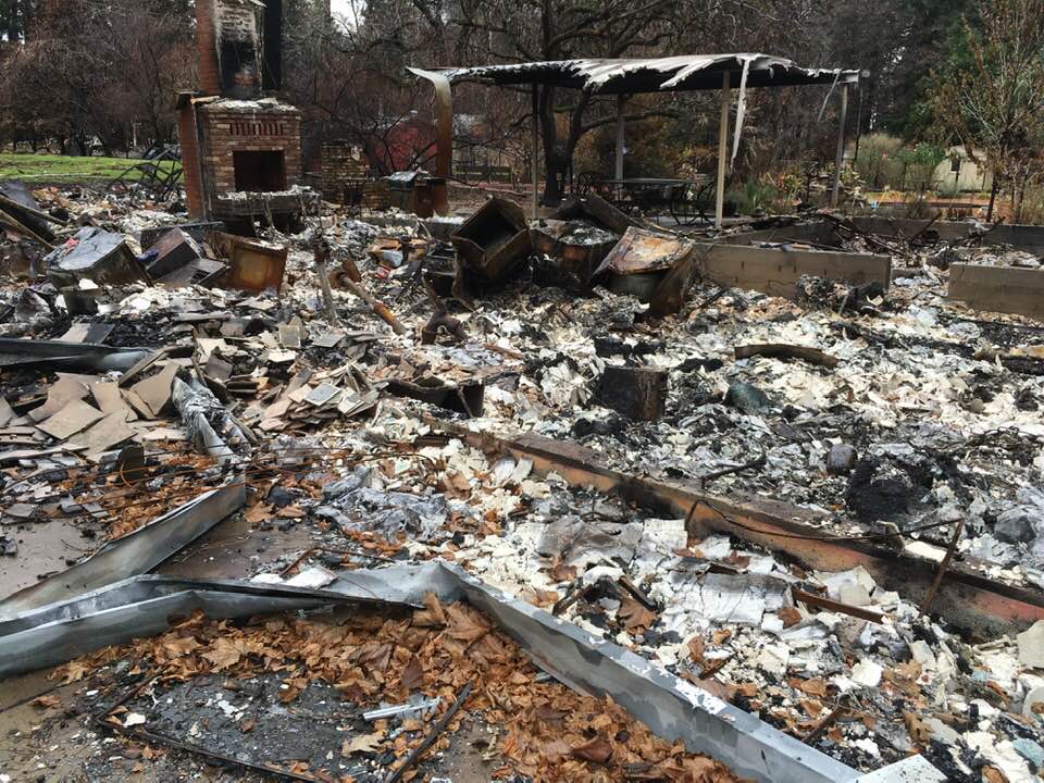 PATRICIA Rich Lloyd Photos of Paradise 22 PATRICIA Rich Lloyd Photos of Paradise 22