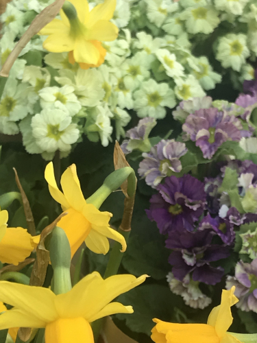 6EB89891-E13B-4525-A87D-399189242DF4