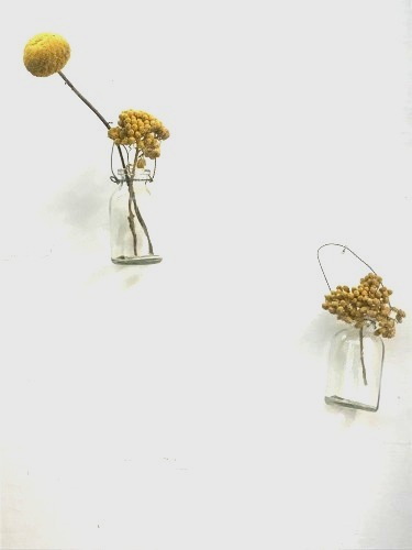 EC9E49A0-2327-4377-93A2-B55D74C333E8