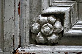 Flower in a corner Flower in a corner