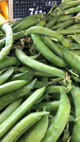 French Market in Provence, Corey Amaro, French la Vie