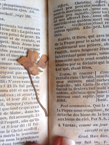 Brocante View, French la vie, Corey  Amaro