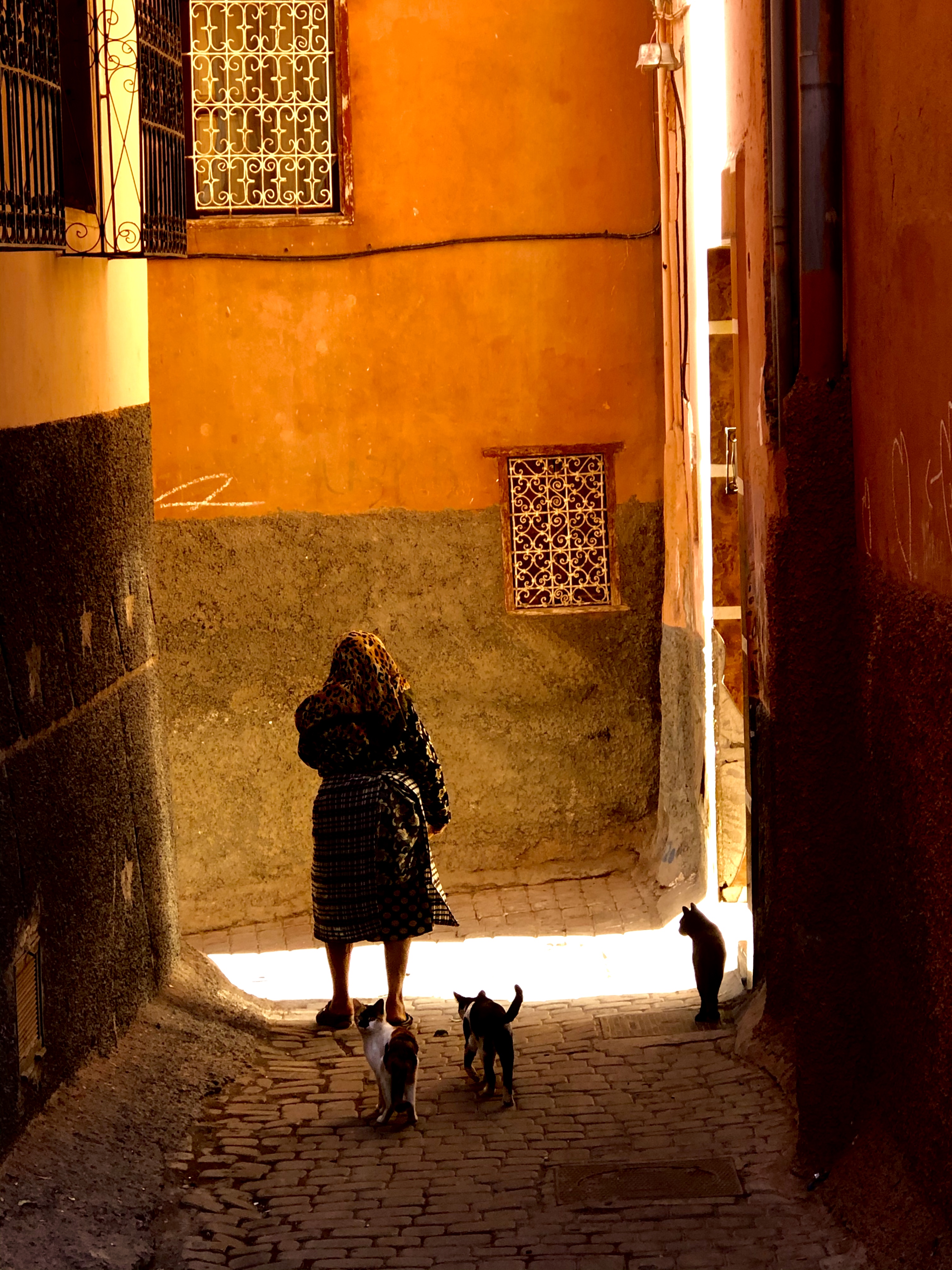 971A7A08-E458-46A3-A878-E36E9B8A16C5 971A7A08-E458-46A3-A878-E36E9B8A16C5