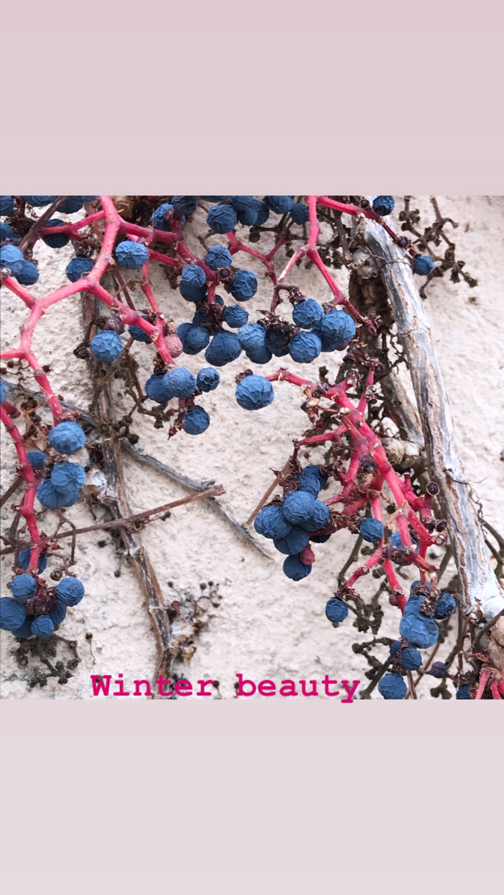 2C9A3F5A-BFBD-4BCA-B292-BC91B7DC2D5D