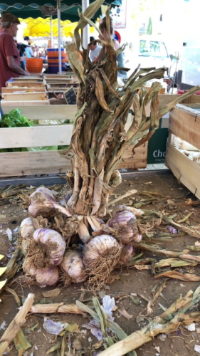 766CE41E-3CEF-4012-A319-FB669DCEB08D