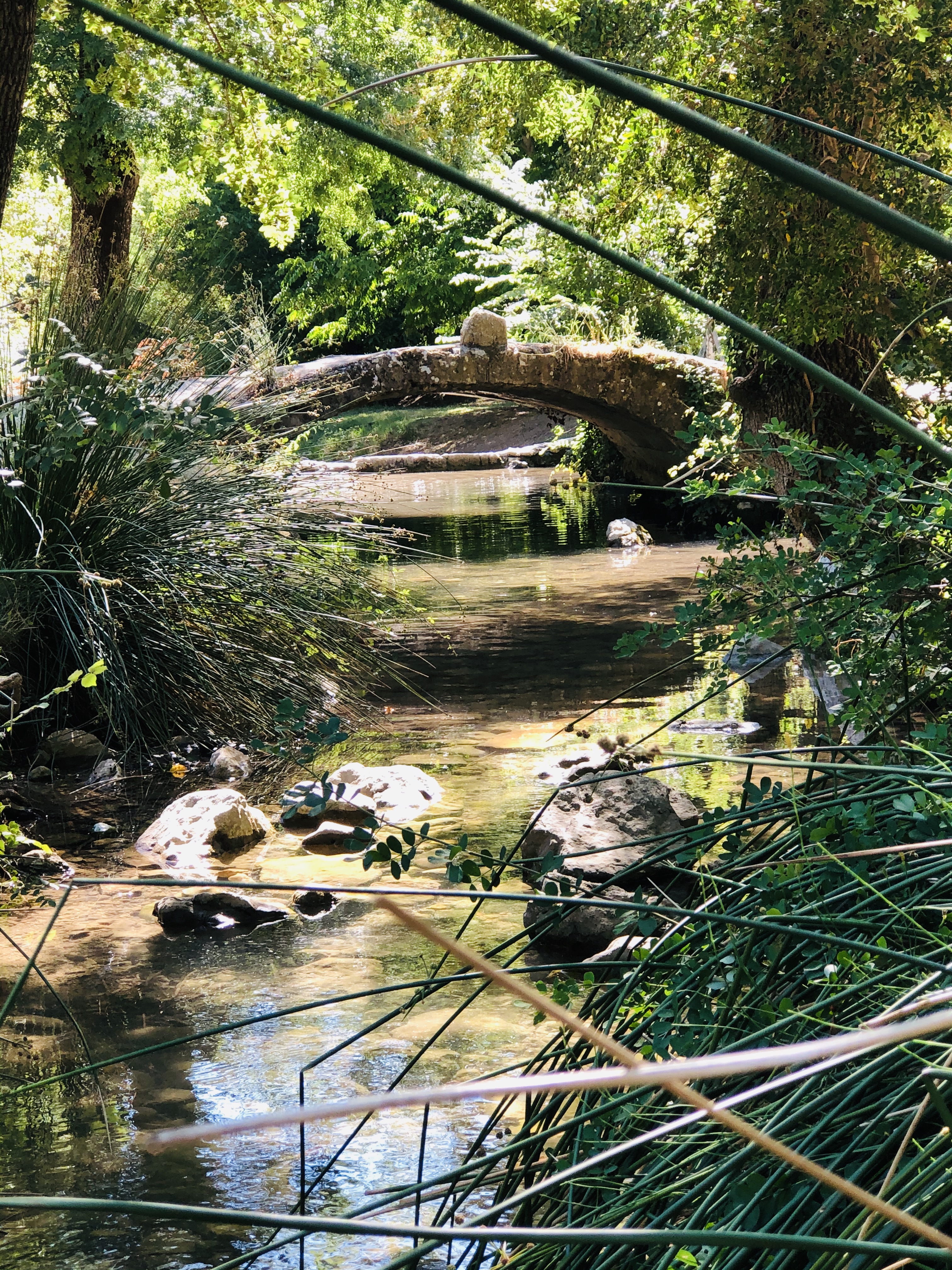 walking trail walking trail