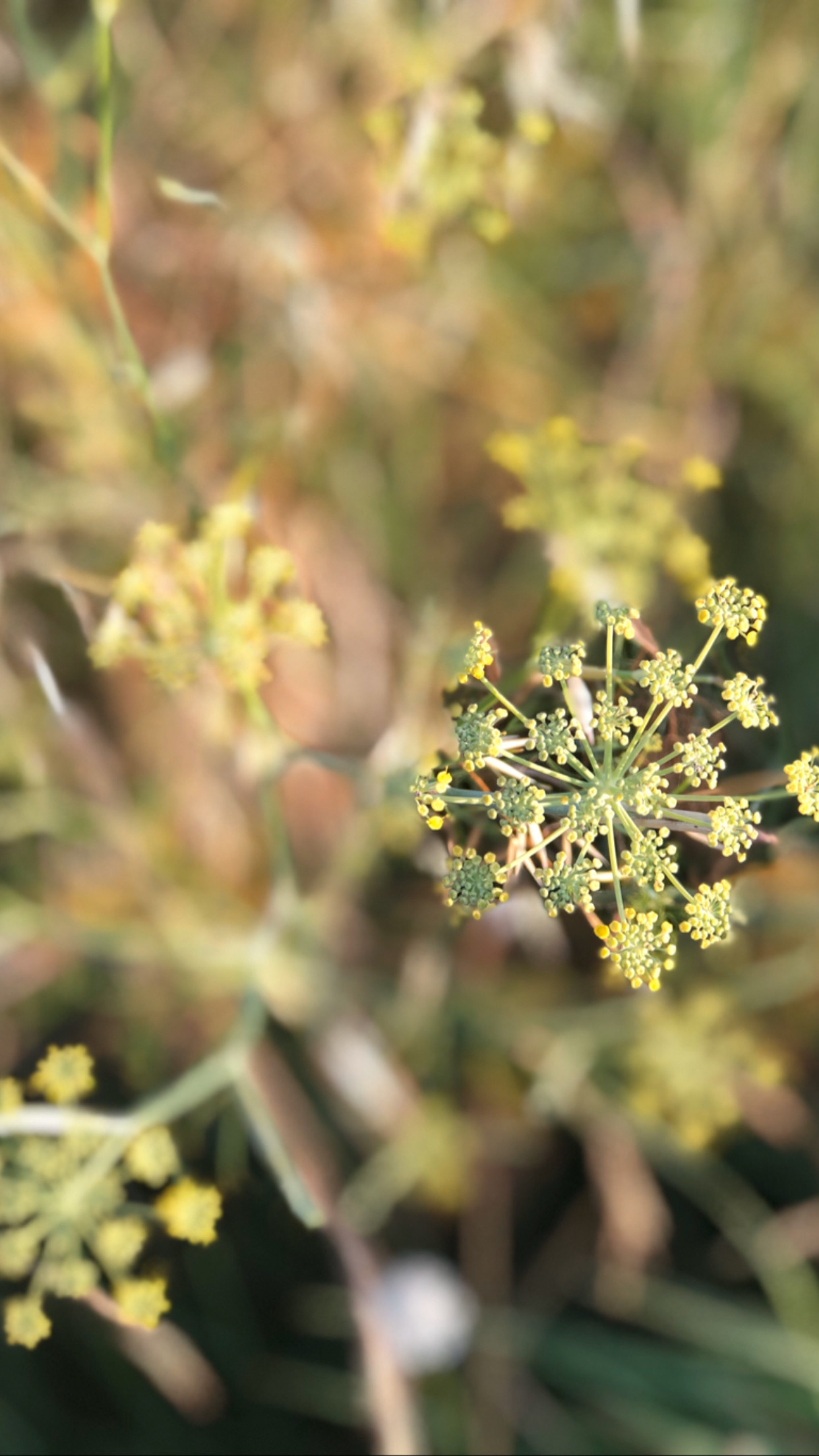 E0DF6007-19F8-404E-A32A-2285D8EAB6EC E0DF6007-19F8-404E-A32A-2285D8EAB6EC