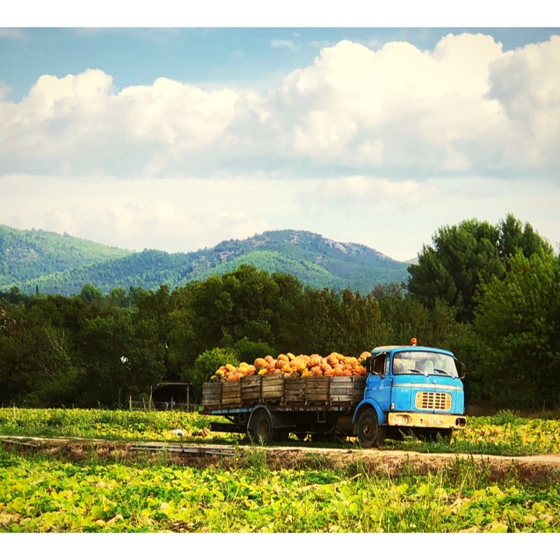 729259D9-5053-4F24-B8B4-5B18B2B0461A