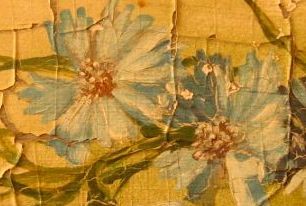 The language of flowers proclaim these as flowers of uncondtional love