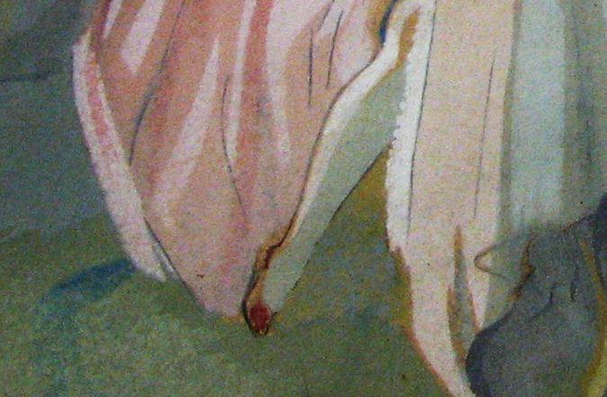 Coreyamaro_leg_at_tea