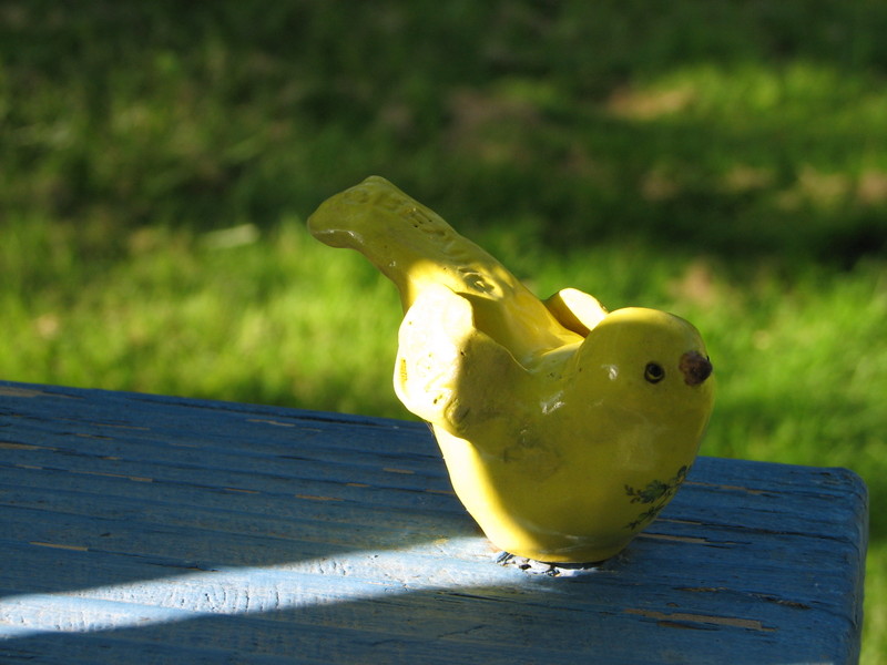 Birds of happiness are not always yellow