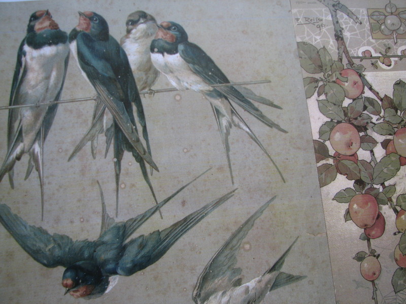 Santa's lovebirds sharing secrets Santa's lovebirds sharing secrets