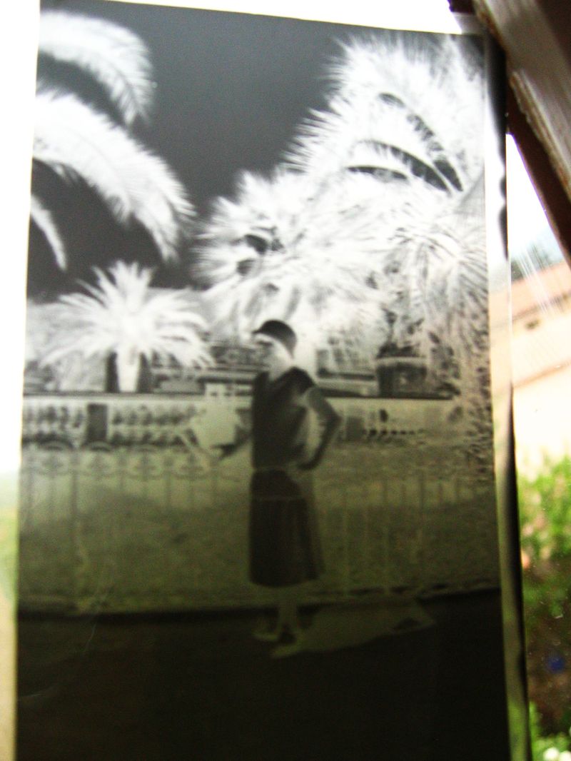 Take a picture of me darling I want others to know I was here