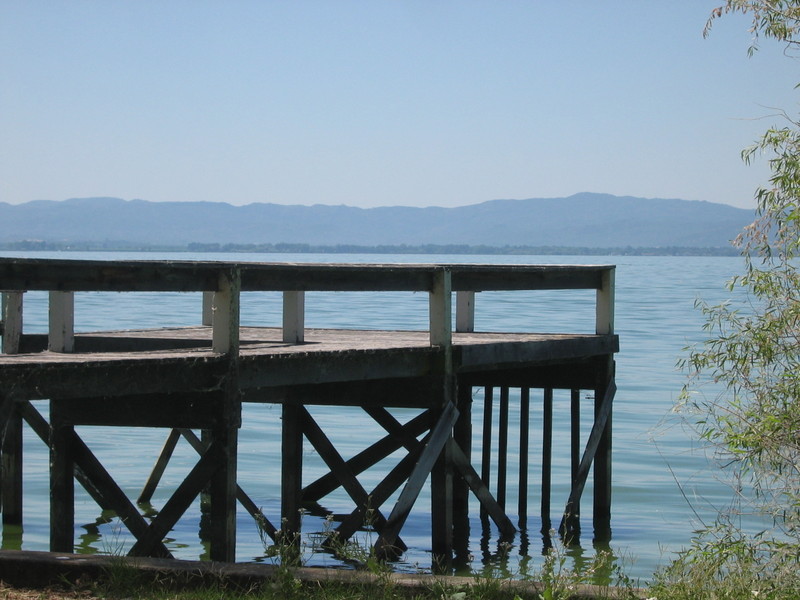Standing on the abandon dock, casting my net