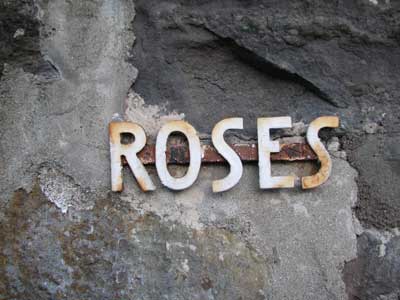 Rustyrosescoreyamaro