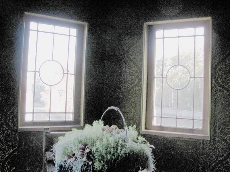 Twowindowscoreyamaro