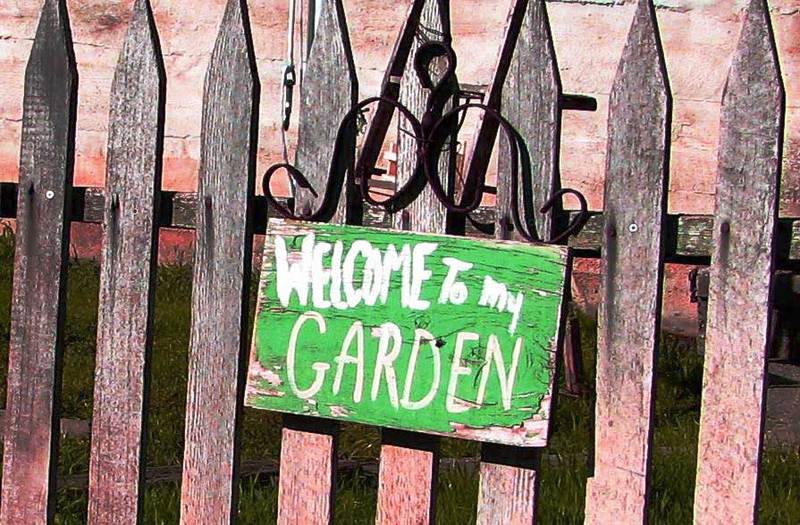 Welcometomygarden