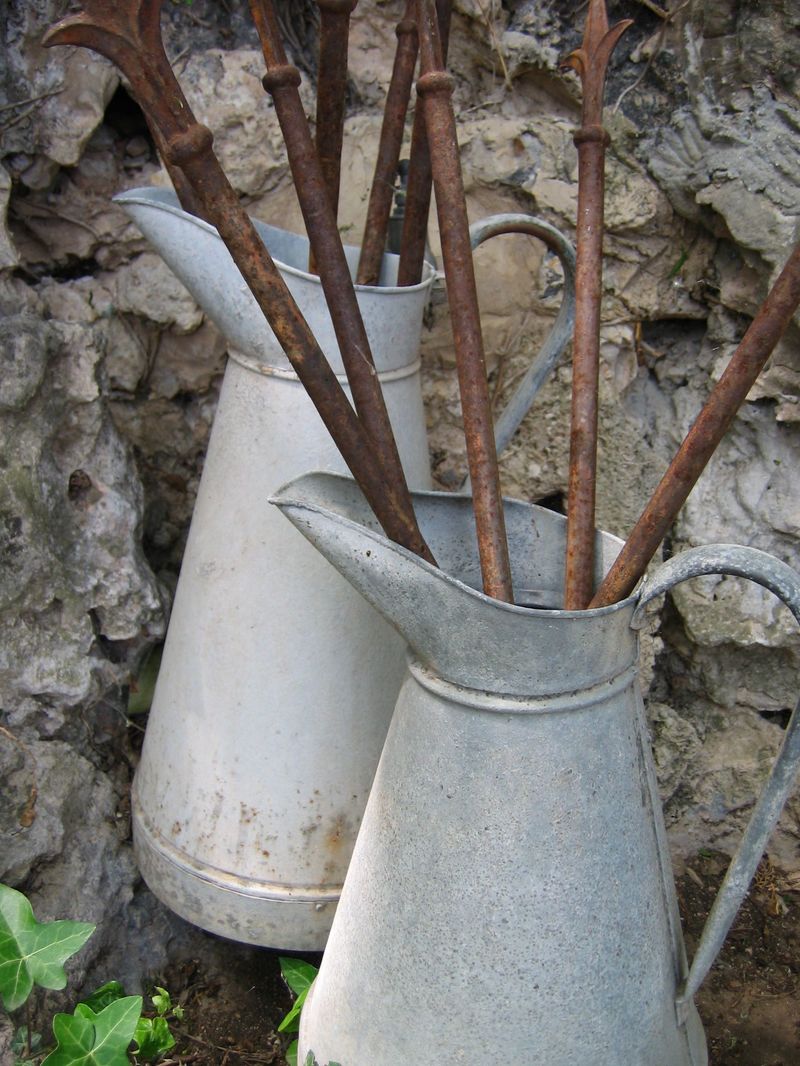 Fleur de Lys grow in France
