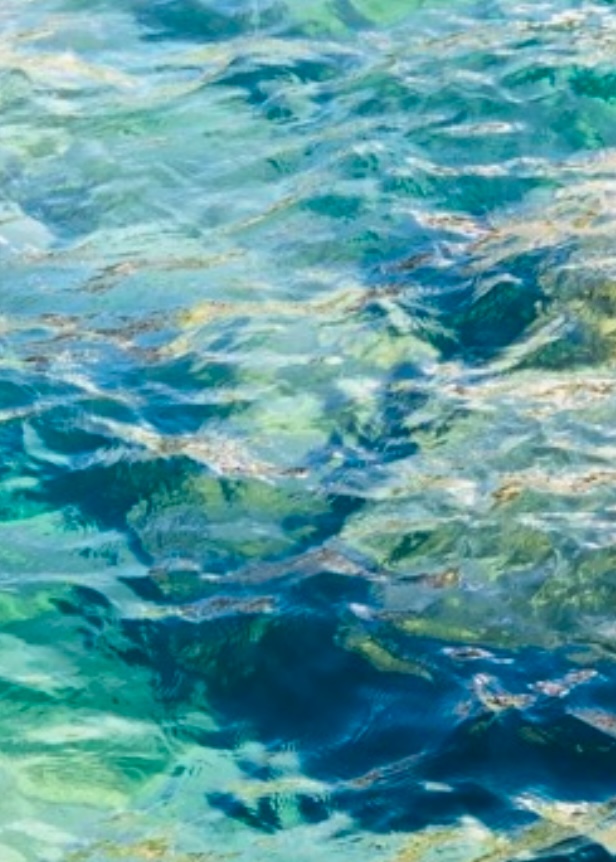 Cassis Morning