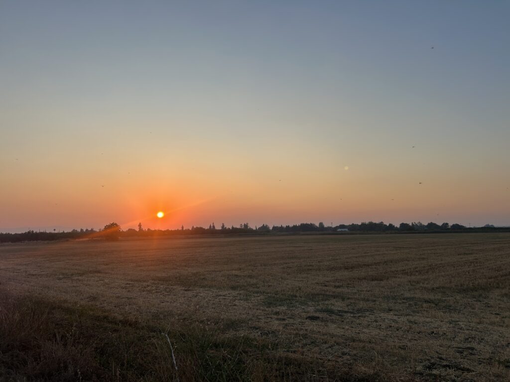 IMG_6667