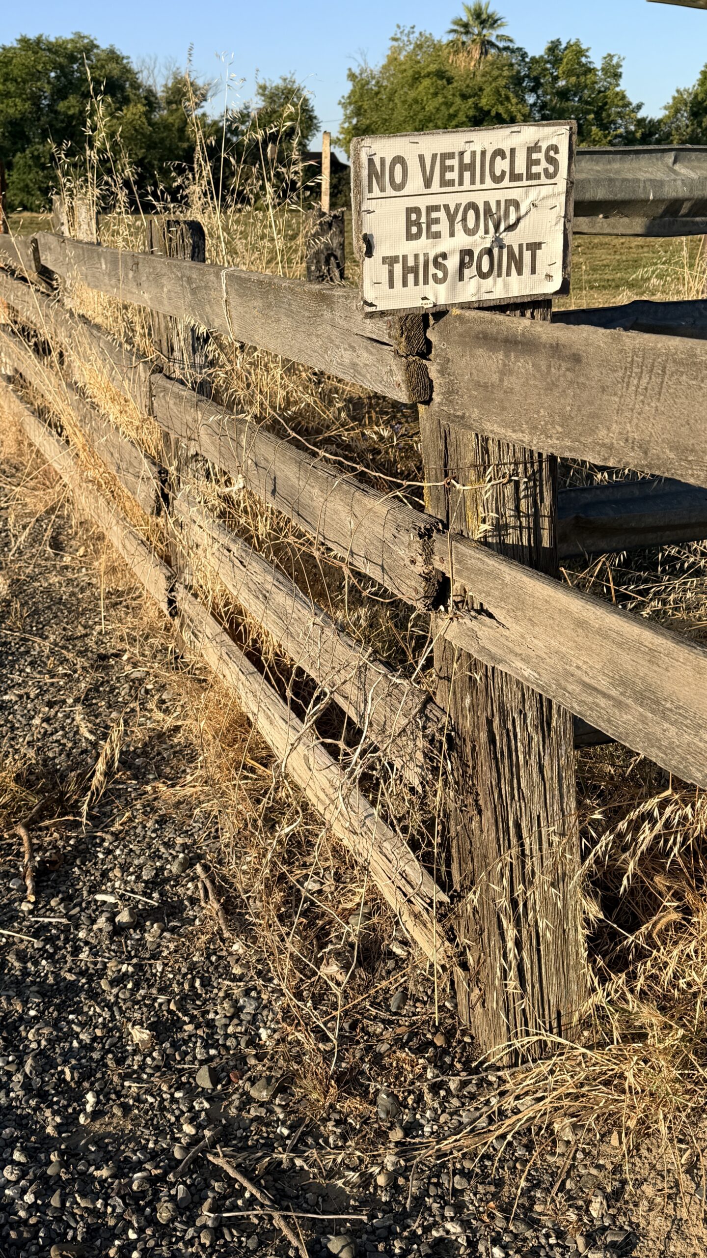 The Sign of the Times