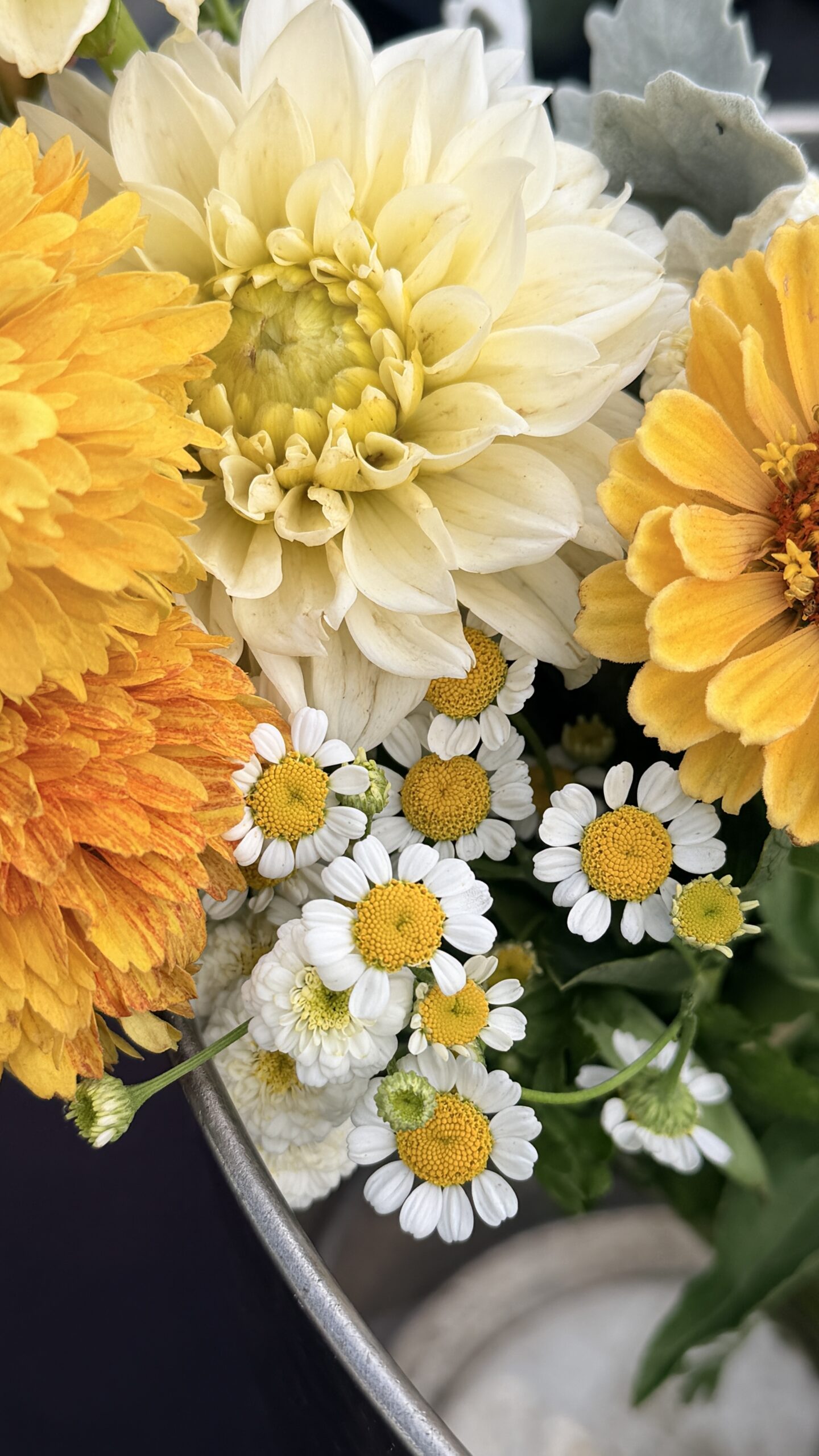 “You’re the flower in my garden of life.” – Unknown